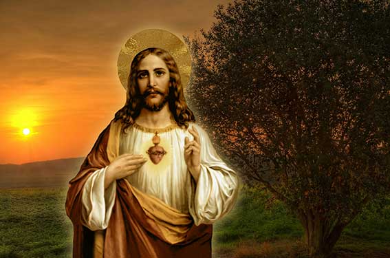 The 12 Promises of Our Lord for Souls Devoted to His Sacred Heart